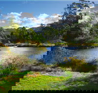 Tasmanian Arboretum Inc. - The - C Tourism