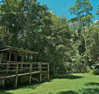 Terania Creek Picnic Area - C Tourism