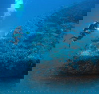 The Zanoni Wreck - C Tourism