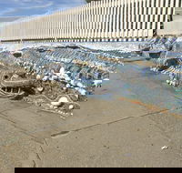 The Nambucca Heads Mosaic - C Tourism