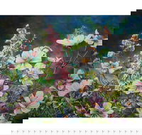 The Homestead Gallery - C Tourism