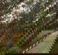 The Briars Park Walking Trails - C Tourism