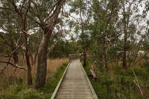 The Briars Park Walking Trails - C Tourism 0