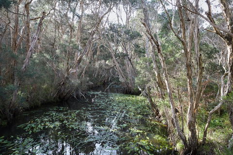 The Briars Park Walking Trails - C Tourism 2