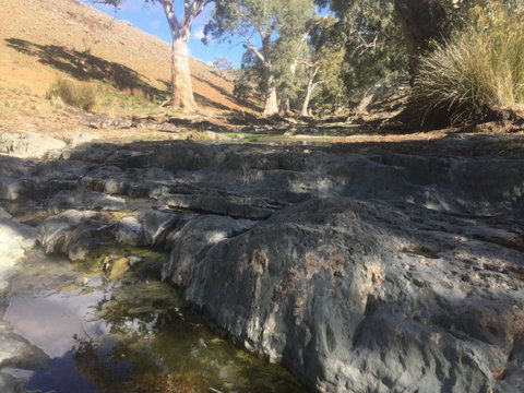 Three Creeks Station -Arkaroona Creek Walk - C Tourism 0