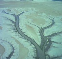 Tidal Flats - C Tourism