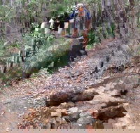 Turner Hill Mountain Bike Trail Murray - C Tourism