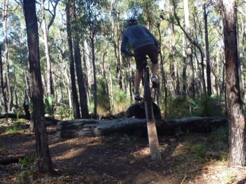 Turner Hill Mountain Bike Trail, Murray - C Tourism 1