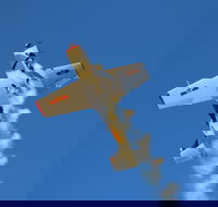 Warbird Aerial Adventures - C Tourism