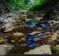 Willi Willi National Park - C Tourism