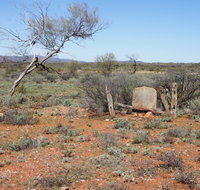 Winnecke Goldfield Cemetery - C Tourism
