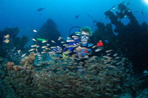 Aarhus Dive Site - C Tourism 0