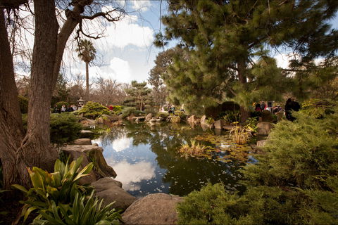 Adelaide Himeji Garden - C Tourism 1