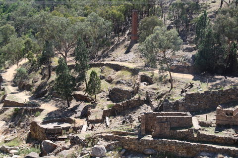 Adelong Falls Gold Mill Ruins - C Tourism 0