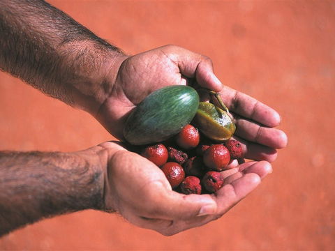 Alice Springs And Surrounds - C Tourism 1