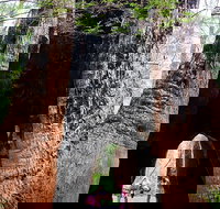 Ancient Empire Walk Valley of the Giants - C Tourism