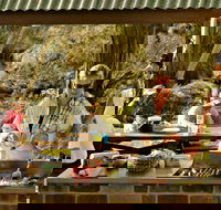 Apsley Falls Picnic Area - C Tourism