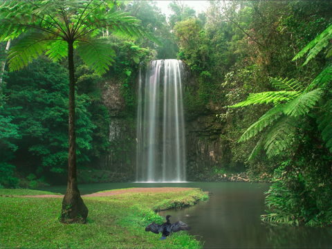 Atherton Tablelands - C Tourism 0