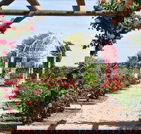 Australian Inland Botanic Gardens - C Tourism