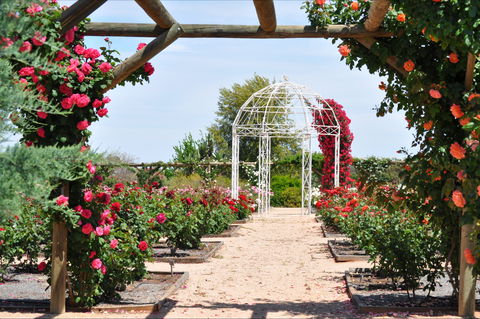 Australian Inland Botanic Gardens - C Tourism 0