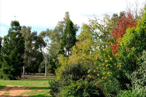 Australian Inland Botanic Gardens - C Tourism 2