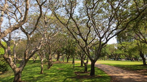 Bicentennial Park - C Tourism 1