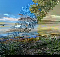 Black Oaks Picnic Area - C Tourism