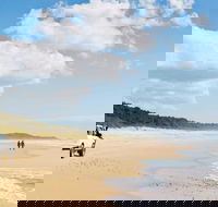 Bongil Bongil National Park - C Tourism