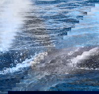 Bremer Bay Canyon - C Tourism