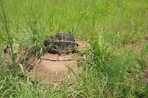 Brocks Creek Chinatown And Temple Site - C Tourism 0