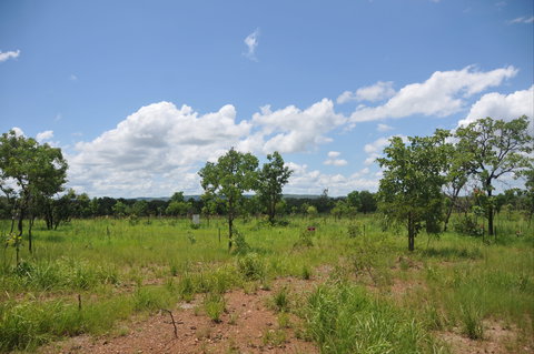 Brocks Creek Chinatown And Temple Site - C Tourism 1