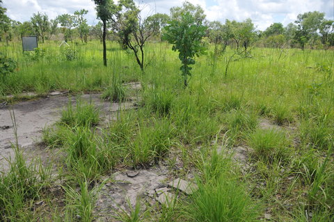 Brocks Creek Chinatown And Temple Site - C Tourism 2