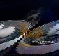 Bronwyn Clarke Ceramics - C Tourism