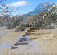 Bush Tucker Trail - C Tourism