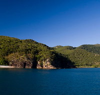 Butterfly Bay - Hook Island - C Tourism