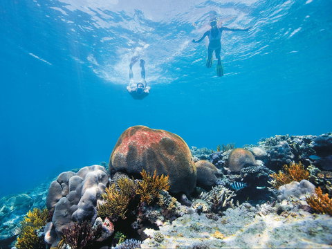 Capricorn Coast And Great Keppel Island Drive Itinerary - C Tourism 0