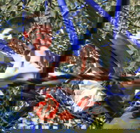 City Park - C Tourism