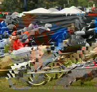 Comboyne - C Tourism