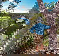 Corkwood and Scribbly Gum Walking Track - C Tourism