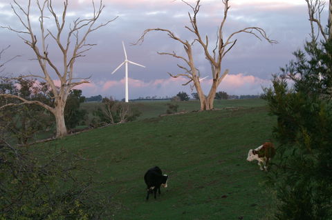 Crookwell Wind Farm - C Tourism 1