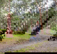 Currawong Bush Park - C Tourism