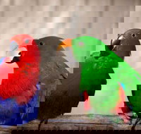 Denmark Dinosaur World - C Tourism