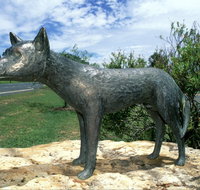 Dingo Statue - C Tourism