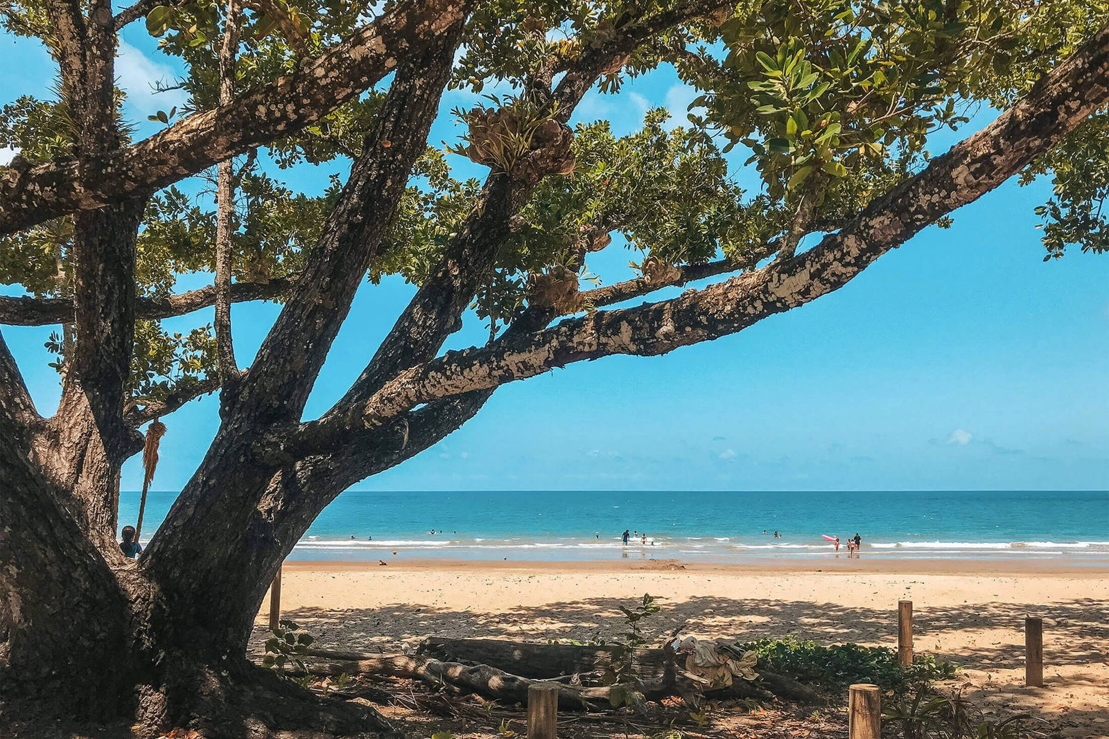 Etty Bay QLD C Tourism