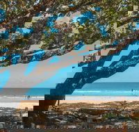 Etty Bay - C Tourism