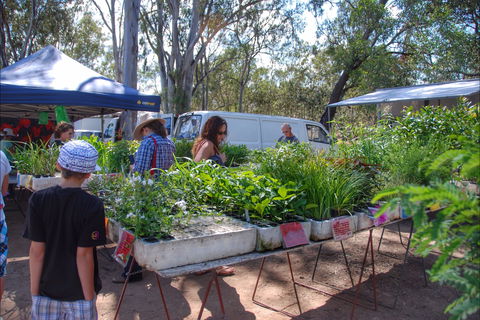 Fernvale Country Markets - C Tourism 0