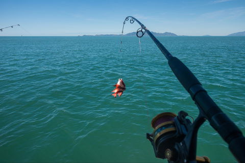 Fishing At Magnetic Island - C Tourism 1