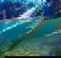 Glenreagh - C Tourism