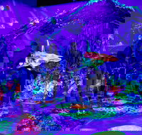 Glowing Rooms 3D Mini Golf - C Tourism