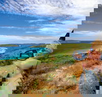 Great Ocean Drive - C Tourism